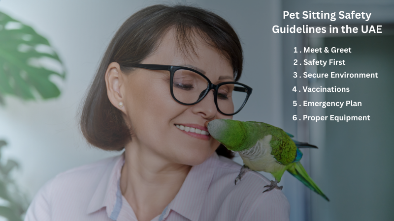 5-step pet safety guide in UAE for responsible and safe pet care at home.