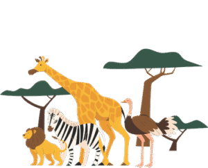 some animals at The Zoo Wildlife Park Umm Al Quwain