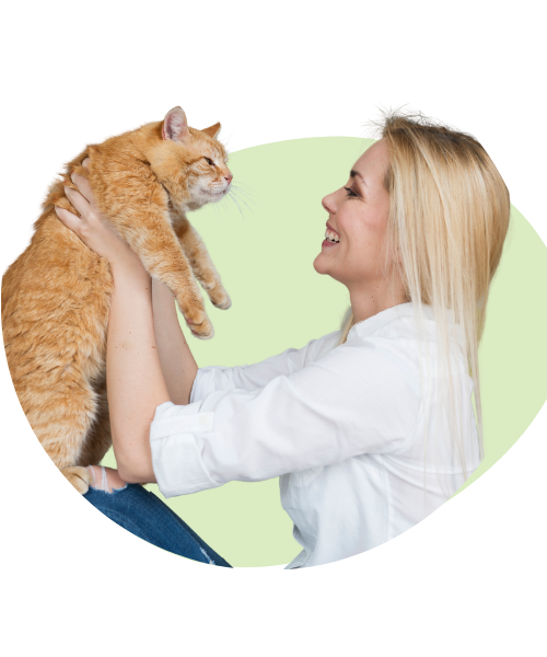 A young woman playing with a cute brown cat, showing a joyful bond between a pet and its owner.