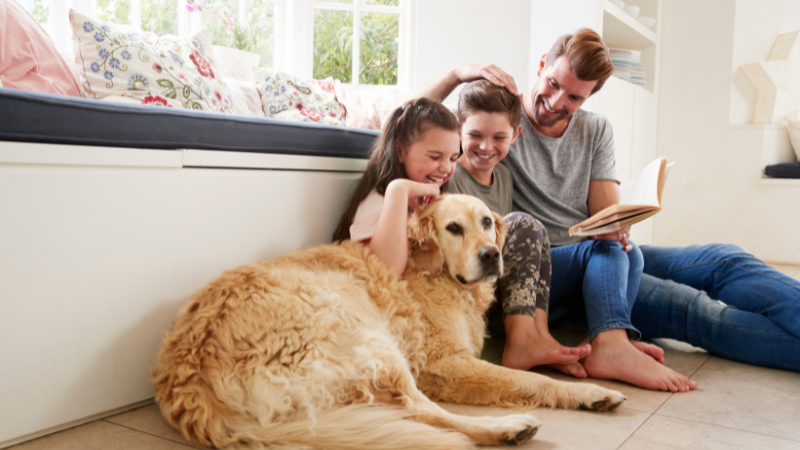 Dog enjoying and playing indoors with its owner and two babies together in a cozy room at home