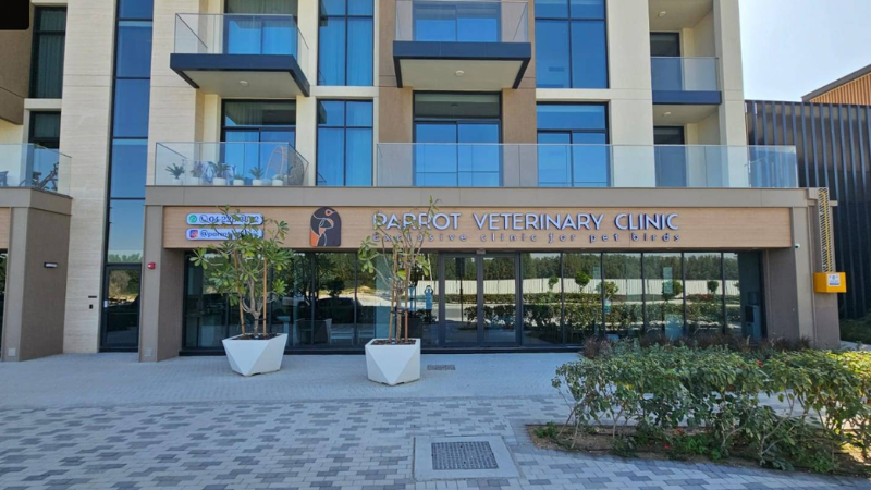 Parrot Veterinary Clinic main gate view with roadside access, landscaped flowers at entrance, clean exterior and welcoming pet care facility setting