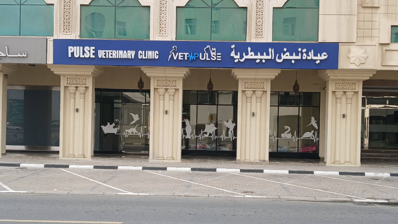 VetPulse Veterinary Clinic main gate at night facing the road, illuminated entrance with clear access and clean exterior surroundings