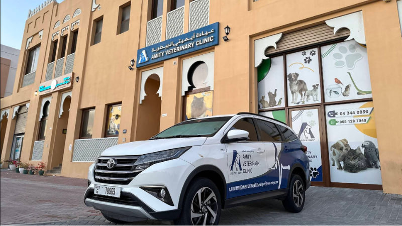 Amity Veterinary Clinic main gate with a parked car in front, clear road access and clean exterior of the pet care facility