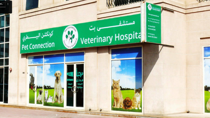 Pet Connection Veterinary Clinic main gate with clear entrance view, clean exterior, and easy access for pet owners and their animals