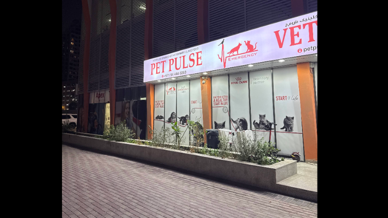 Pet Pulse main gate at night with illuminated entrance, secure access, and clean exterior of the pet care facility under evening lighting