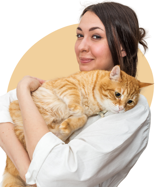 A caring cat sitter holding a yellow ginger cat against a soft round yellow background.