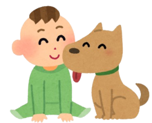 a dog and a baby are playing
