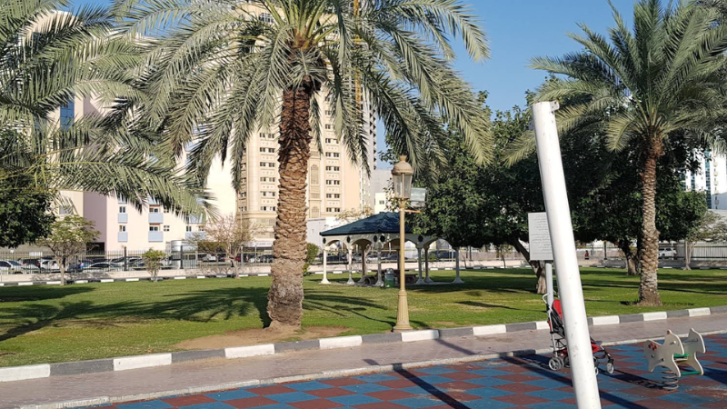 Al Mahatta Park roadside full view with greenery and open space
