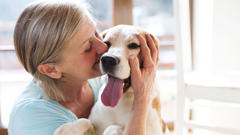 A dog sitter is holding a dog in their arms and showing affection during overnight pet sitting.