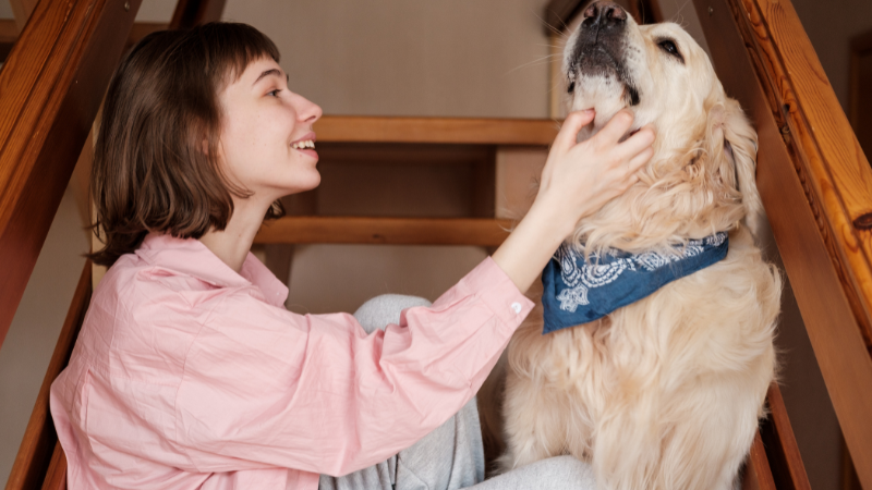Girl gently petting her favorite dog in a cozy room, showing love and bonding moment.