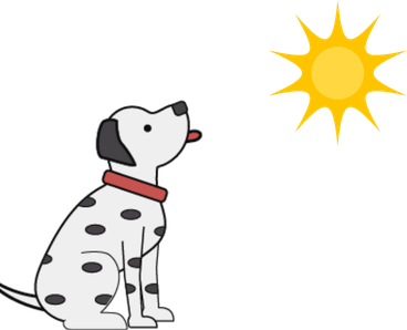 A dog sitting under the sun during summer, in a warm outdoor setting, capturing a relaxed and sunny atmosphere.