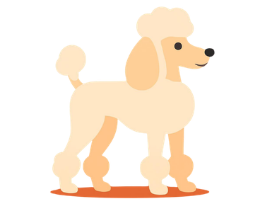 A diamond-colored Poodle dog is standing, with a light-colored background.