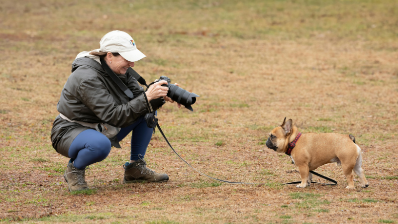 A dog owner is taking photos of their dog on the street.