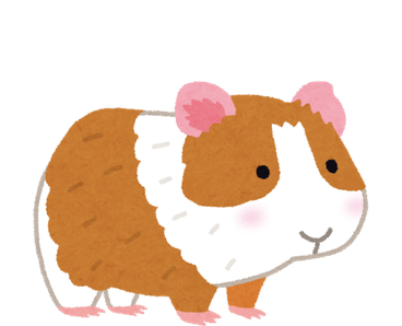 Cute hamster art illustration with fluffy small rodents on a soft background