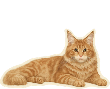 Cartoon illustration of a sitting Maine Coon cat with a fluffy body and expressive face.