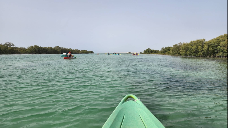 Jubail Mangrove Park river view with boats on calm water surrounded by mangrove trees