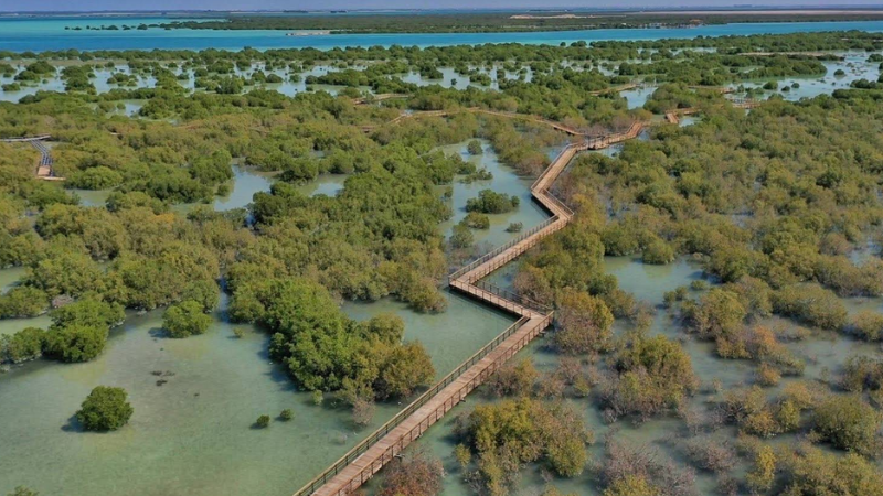 Jubail Mangrove Park full view with bridge, water, and mangrove trees