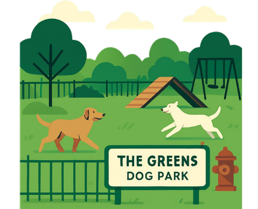 Some dog are playing in The Greens Dog Park
