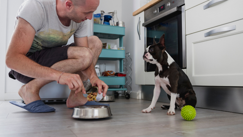 A professional Pawland dog sitter feeding a dog from a bowl at the sitter’s home.