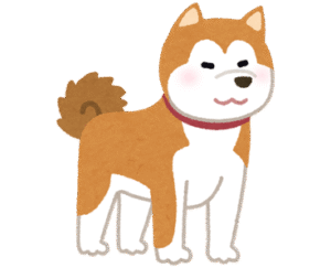Akita Dog setting