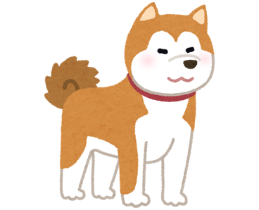 Akita Dog setting