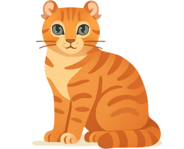 American Curl Cat