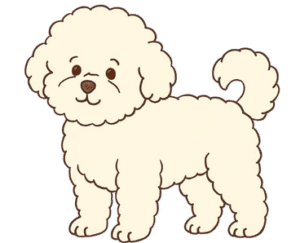 Bichon Frisé Dog