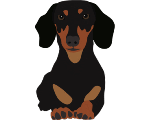 Bound Dog Breed