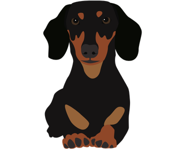 Bound Dog Breed