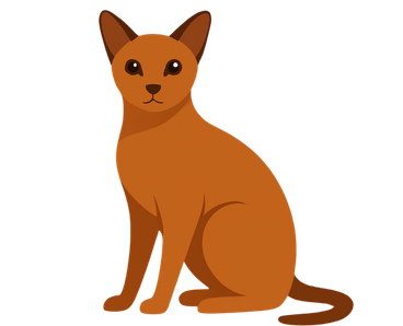 Burmese Cat