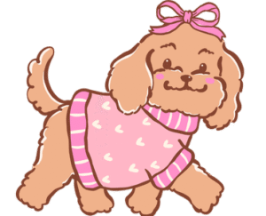 Cavapoo Dog