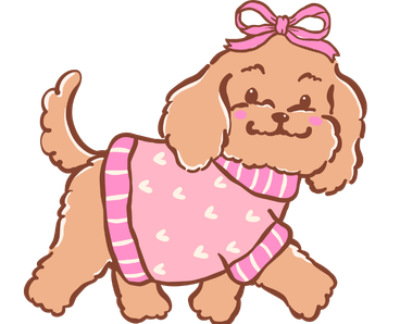 Cavapoo Dog