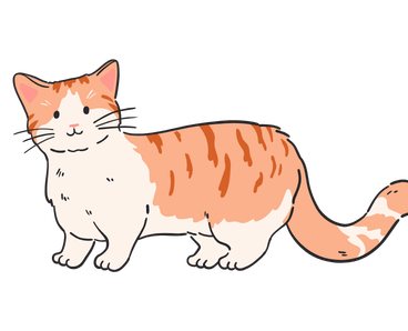 Munchkin Cat