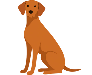 PVizsla Dogiggle Dog (Puggle)