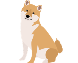 Shiba Inu Dog