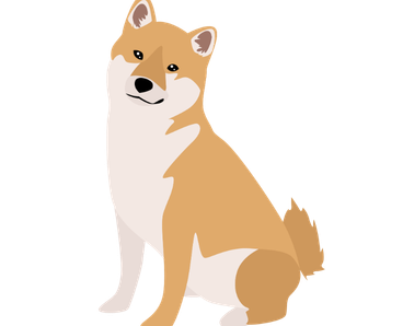 Shiba Inu Dog