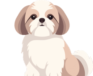 Shih Tzu Dog