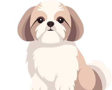 Shih Tzu Dog