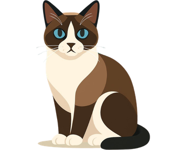 Snowshoe Cat