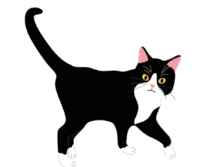 Tuxedo Cat