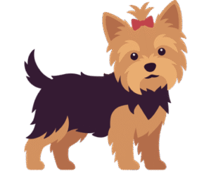 Yorkshire Terrier dog standing on its hind legs with shoes on its paws.
