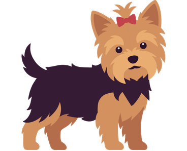 Yorkshire Terrier dog standing on its hind legs with shoes on its paws.
