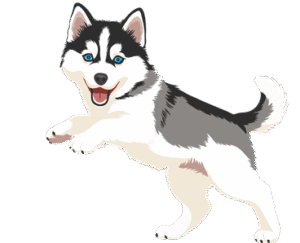 siberian husky puppies Running