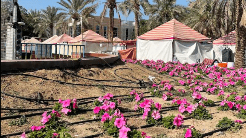 Al Karama Park flower view with blooming plants