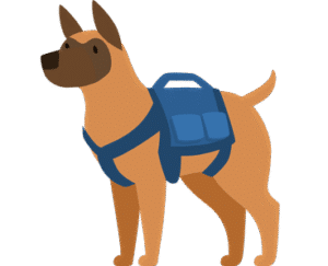 Belgian Shepherd Dog