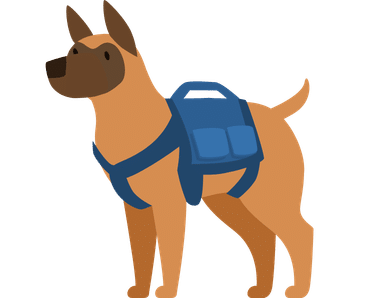Belgian Shepherd Dog