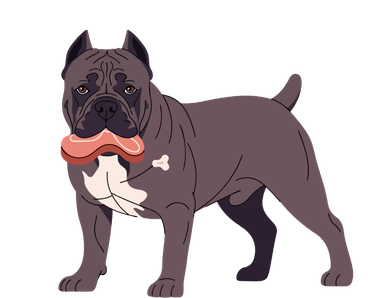Cane Corso Dog