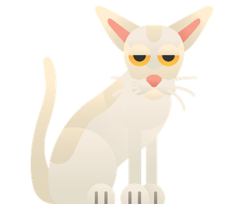 Colorpoint Shorthair Cat