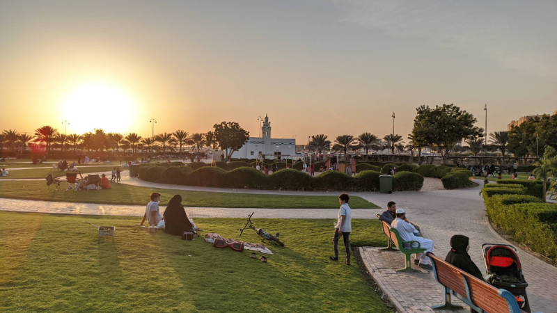 Hamidiya Park with lush green landscapes and road view in Dubai