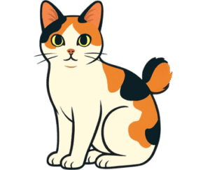 Japanese Bobtail Cat